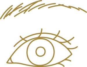 眉と目の位置